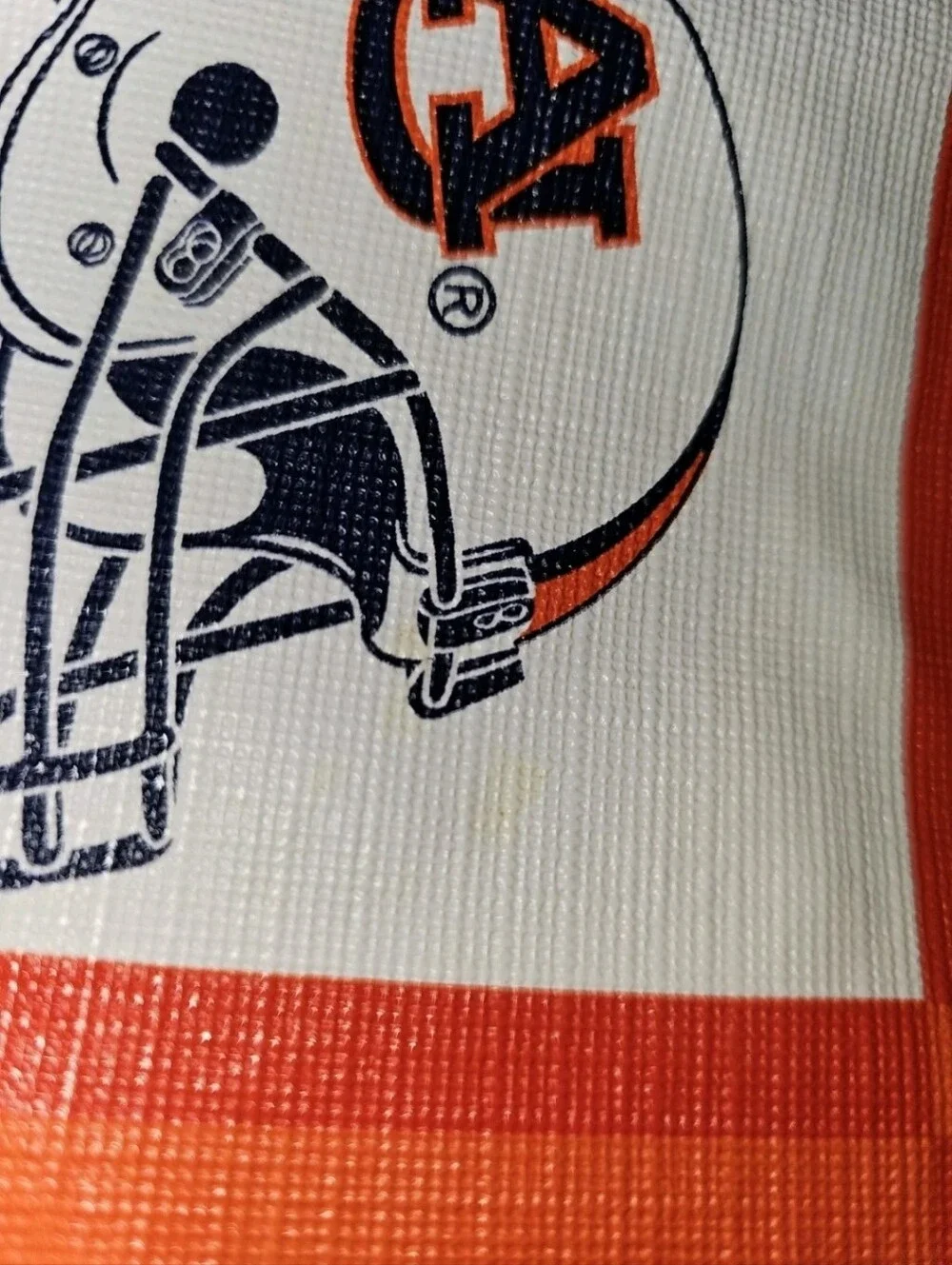 Auburn Tigers perfect au